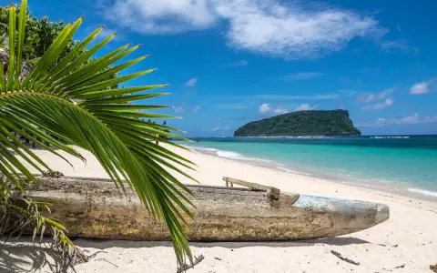 Piękna plaża na wyspach Samoa z tradycyjną łodzią i palmą w tle.