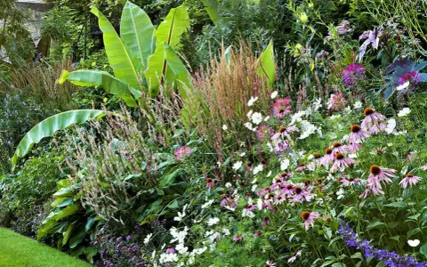 Un magnifique modele jardin exotique avec de grandes feuilles vertes, des fleurs roses et blanches, et des graminées.