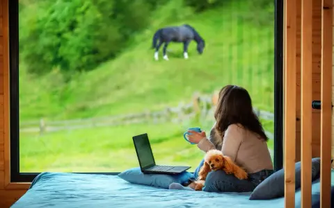 Femme avec un chien et un ordinateur portable, regardant un cheval brouter dans un champ verdoyant. La réglementation cheval sur terrain privé est une préoccupation.