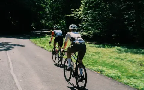 Two cyclists enjoy a scenic road biking adventure through a sun-dappled forest path.
