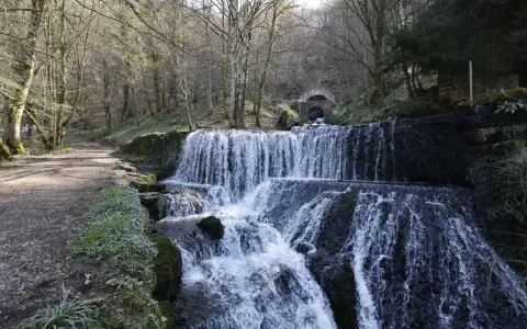 Cascade d'eau dans une forêt, un chemin de terre longe la rivière. Au fond, un tunnel voûté suggère une source d'arcier.