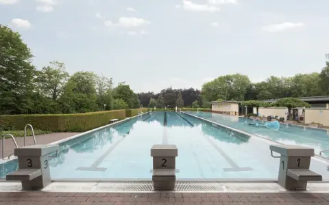 Leeres Freibad Barntrup mit Bahnen und Sprungblöcken. Ein blauer Wal schwimmt im Wasser.