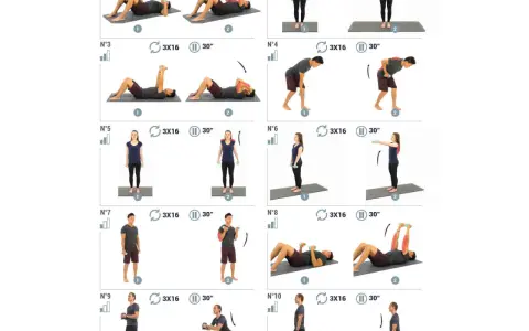 Guide d'exercices avec haltères à la maison : mouvements au sol, debout et fentes pour un entraînement complet.