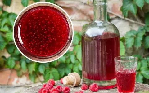 Butelka i kieliszek wypełnione rubinową nalewką z malin, obok świeże owoce i korek.