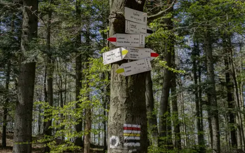 Leśny drogowskaz na trasie lubomir. Wskazuje kierunki do Kudłaczy, Kasiny Wielkiej, Myślenic i innych.