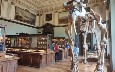 Szkielet mamuta w muzeum historii naturalnej wiedeń. W gablotach minerały i skamieniałości.