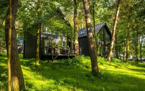 Nowoczesne **hotel w lesie**, z drewnianymi tarasami i dużymi oknami, otoczony zielenią.