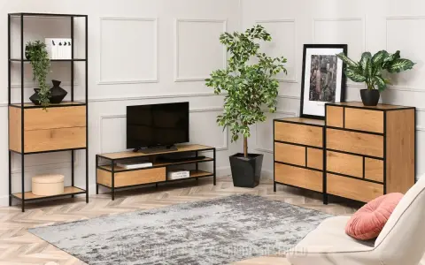 Nowoczesny salon z regałem, komodą i szafką RTV. Ten zestaw mebli loft to idealne rozwiązanie dla miłośników industrialnego stylu.