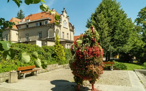 Kwiatowa rzeźba pawia wita gości w Dusznikach Zdroju. W tle zabytkowa willa i bujna zieleń.