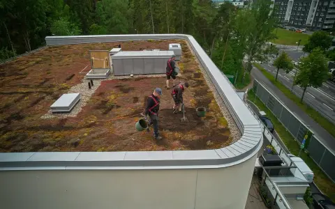 Arbetare sköter om ett sedumtak konstruktion. De planterar och vattnar, vilket bidrar till en grönare stadsmiljö.