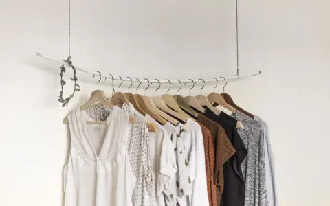 Eine minimalistische **Kapsel Garderobe** mit hellen, gemusterten und erdigen Kleidungsstücken, die an einem Ast hängen.