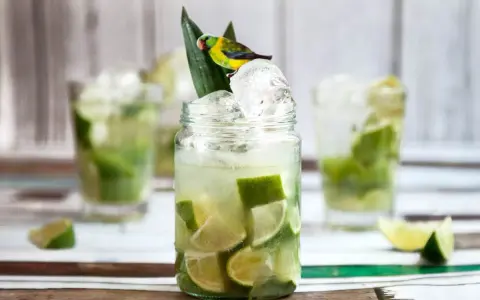 En härlig caipirinha med lime och is, dekorerad med en liten papegoja. Perfekt för ett somrigt caipirinha recept.