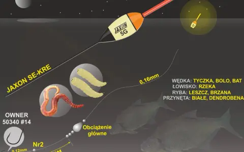 Ilustracja przedstawia zestaw do łowienia na spławik z gruntu: haczyk, żyłkę, obciążenie, przynętę (białe robaki i dendrobena) oraz spławik.