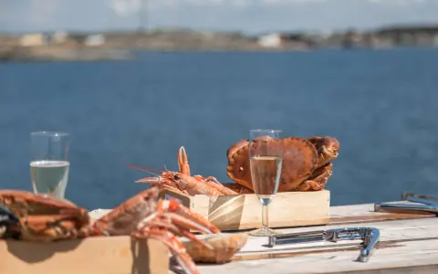 Skaldjur och bubbel vid havet, en perfekt aktivitet i Göteborg.
