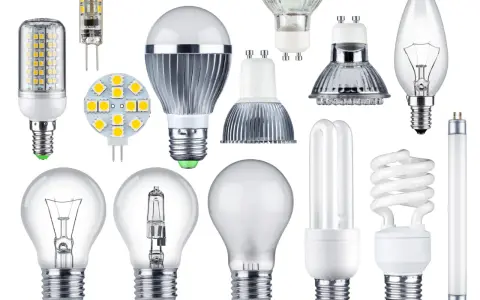 Divers ampoules : incandescence, halogène, fluocompact, et plusieurs modèles de **fonctionnement LED** illustrant l'évolution de l'éclairage.