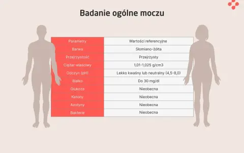 Tabela z wynikami badania ogólnego moczu: parametry, wartości referencyjne, barwa, przejrzystość, ciężar właściwy, odczyn, białko, glukoza, ketony, azotyny, bakterie.