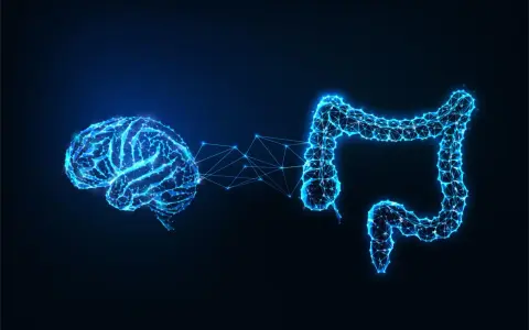 Rappresentazione stilizzata del cervello e dell'intestino collegati da una rete luminosa, che illustra l'asse intestino cervello.