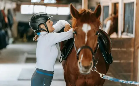 Une cavalière ajuste la selle de son cheval dans une **structure équestre**.