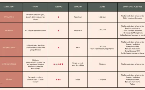 Tableau comparant différents types de saignements : ovulation, nidation, prémenstruel, intermenstruel, règles. Chaque type est décrit par son timing, volume, couleur, durée et symptômes possibles.
