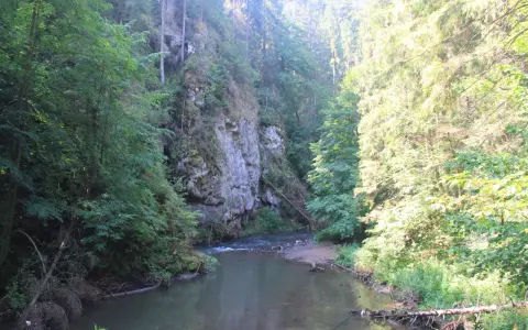 Wąska rzeka przepływa przez skalisty wąwóz, otoczony gęstym lasem. To malowniczy przełom Hornadu, gdzie natura tworzy niezwykłe krajobrazy.