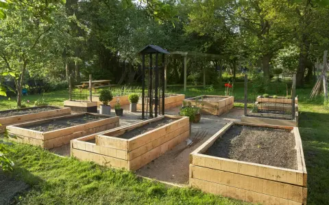 En vacker trädgård med flera nybyggda odlingslådor i trä, redo för plantering. En perfekt plats att bygga odlingslåda och njuta av sommaren.