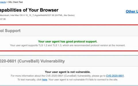 Browser test shows good protocol support, with TLS 1.2 and 1.3 enabled, and no CVE-2020-0601 vulnerability.