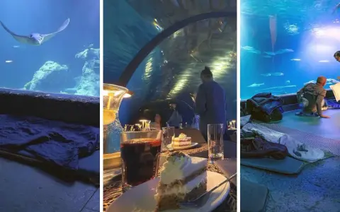 Afrykarium Wrocław: Gdzie spać? Najlepsze noclegi blisko ZOO