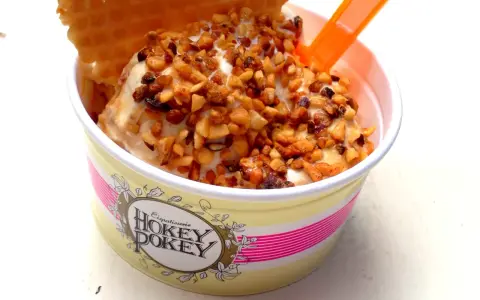Ein Becher Hokey Pokey Eis mit Nüssen und Waffel. Dieses Eisrezept ist ein Genuss!