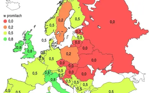 Limity alkoholu do Polski: UE i spoza. Nie daj się zaskoczyć!