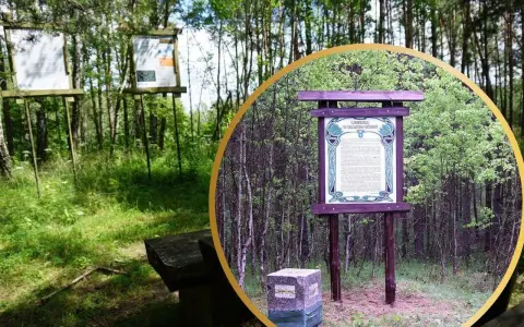 Tablica informacyjna o Czarnej Górze w Kujawsko-Pomorskiem, otoczona lasem.