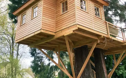 Ein wunderschönes Baumhaus, das auf zwei alten Bäumen gebaut wurde. Die Holzkonstruktion ist solide und einladend.