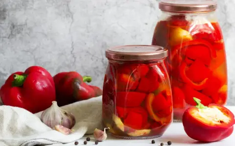 Zwei Gläser mit eingelegter Paprika, daneben frische rote Paprika, Knoblauch und Pfefferkörner. Perfekt zum Paprika einkochen.
