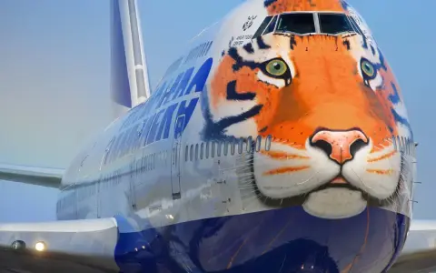 Ein riesiges Flugzeug mit einem beeindruckenden Tigergesicht als Bemalung. Der Tiger blickt wachsam in die Ferne.
