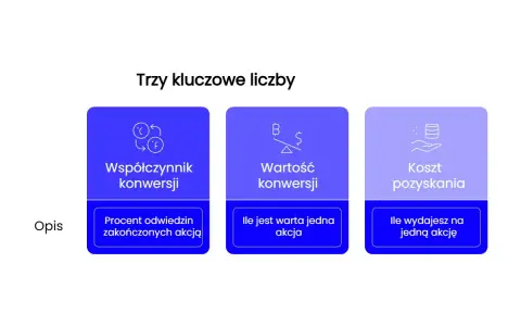 Trzy kluczowe liczby: współczynnik konwersji (procent odwiedzin zakończonych akcją), wartość konwersji (ile jest warta jedna akcja) i koszt pozyskania (ile wydajesz na jedną akcję).