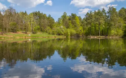 Spokojny, zielony staw odbija drzewa i błękitne niebo z chmurami. Na brzegu widać dwie osoby odpoczywające na trawie.