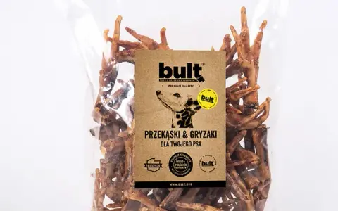 Czy pies może jeść kurze łapki? Odkryj ryzyka i korzyści