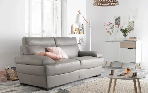 Un salon moderne avec un canapé gris confortable, des coussins roses et un petit tapis. Un meuble blanc et bois, une table basse et une plante verte complètent la scène.
