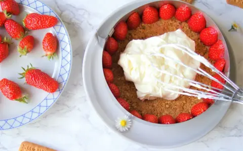 Préparation d'un cheesecake fraise : crème fouettée sur une base de biscuits et fraises fraîches.