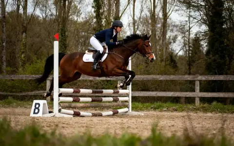 Cavalier et cheval en pleine phase du saut cheval, franchissant un obstacle en extérieur.