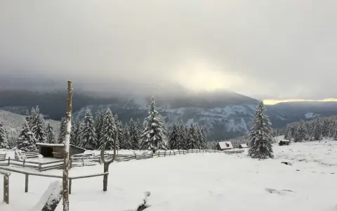 Zimowy krajobraz w czeskich Karkonoszach. Śnieg pokrywa drzewa i polany, a w oddali widać góry.