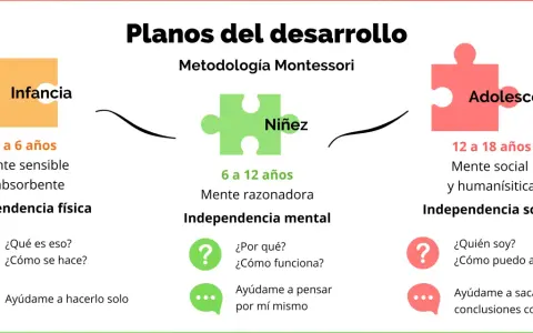 La educación Montessori en qué consiste: planos del desarrollo por etapas (infancia, niñez, adolescencia) con sus características y enfoques.