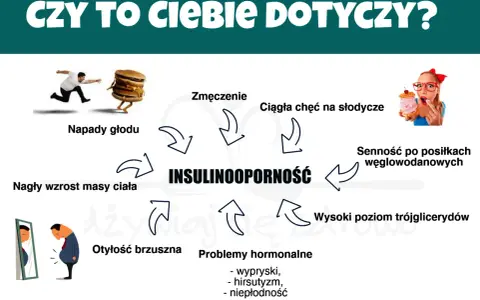Insulinooporność objawy: zmęczenie, napady głodu, nagły wzrost masy ciała, otyłość brzuszna, problemy hormonalne, wysoki poziom trójglicerydów, senność po węglowodanach, ciągła chęć na słodycze.