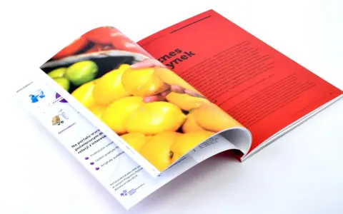 Otwarty katalog klejony z cytrynami na okładce. Na stronie widoczny tekst o relacjach z interesariuszami.