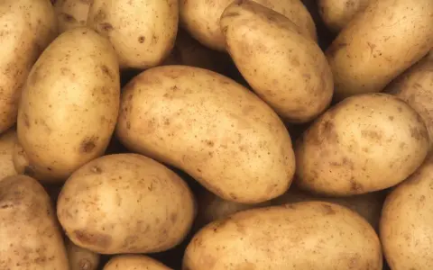 Un montón de patatas amarillas con manchas marrones. Descubre el patata valor nutricional 100g.