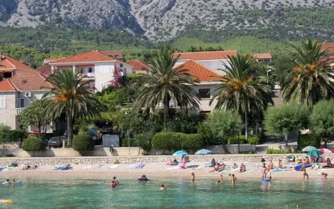 Plaża z palmami, domami i ludźmi kąpiącymi się w morzu.