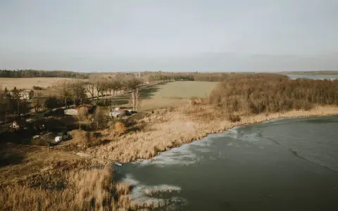 Zimowy krajobraz nad pniewy jezioro. Widać zamarznięte brzegi, trzciny, las i zabudowania.