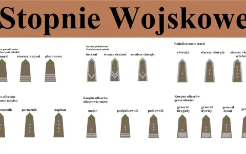 Podporucznik po studiach: Twoja ścieżka kariery oficerskiej