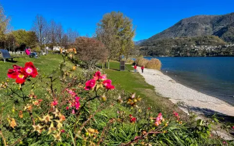 Fiori rossi in primo piano, poi un prato verde con persone sedute su una panchina e due che passeggiano lungo il lago di Caldonazzo.