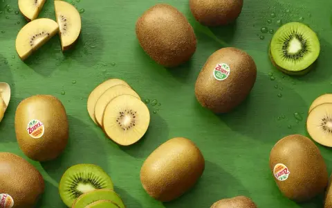 Gold- und grüne Kiwis, ganz und geschnitten, auf grünem Hintergrund. Ein Löffel mit Kiwi-Fruchtfleisch. Kiwi gesund und lecker.