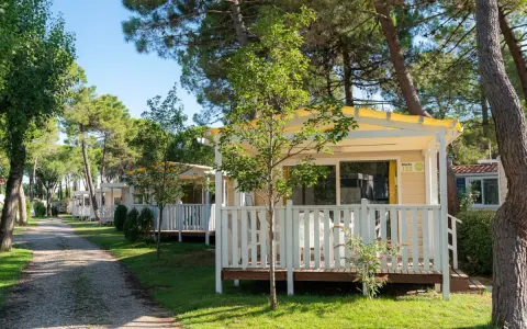 Uroczy camping Rialto z domkami letniskowymi w otoczeniu drzew.